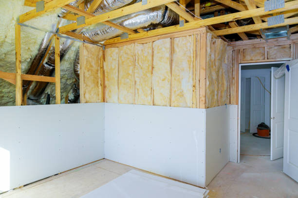 Professional Insulation Contractor in IL