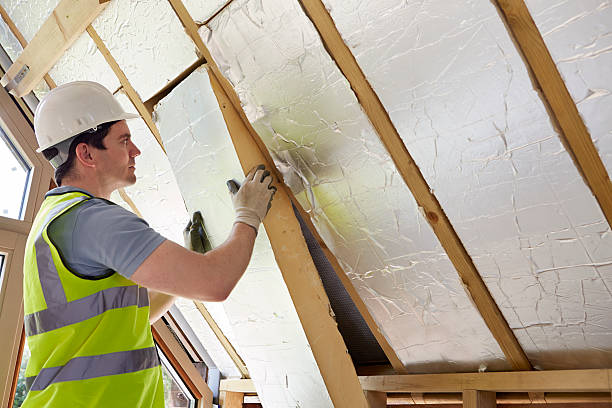 Best Insulation Maintenance and Repair in Sandoval, IL